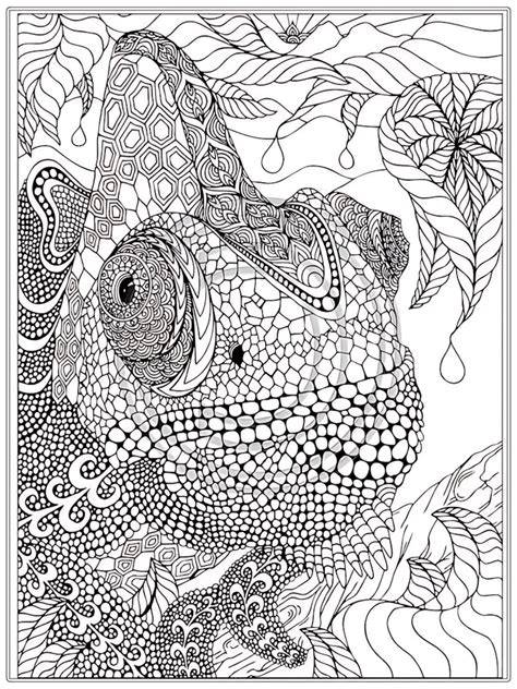 Intricate Coloring Pages
