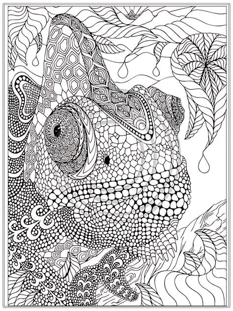Intricate Coloring Pages For Adults
