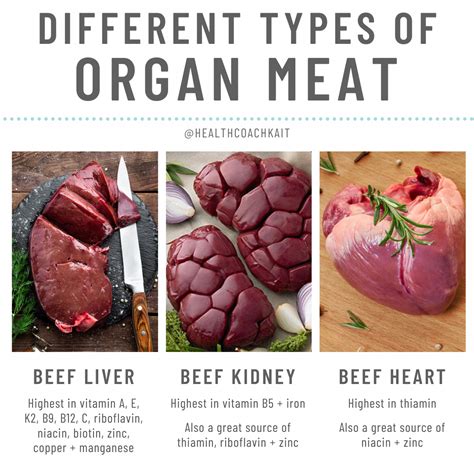 Introducing Organ Meats Slowly