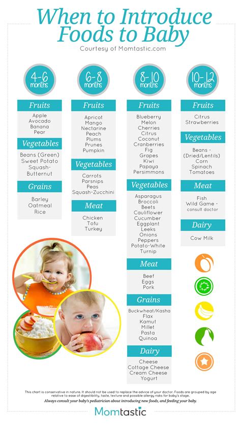 Introducing Solids To Infants Chart
