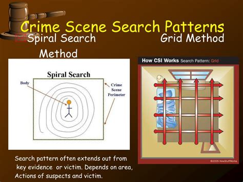 Introduction To Search Patterns In Forensics