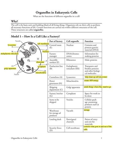Introduction To Cells The Grand Cell Tour Worksheet Answer Key
