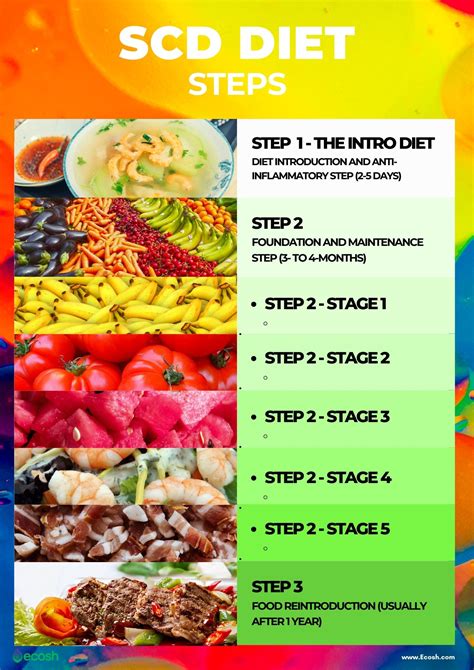 Introduction to Diet Food