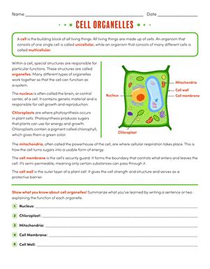 Introduction to Cell Organelles Worksheet | TpT