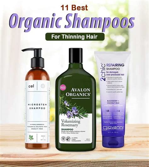 Healthy Living Organic Shampoo