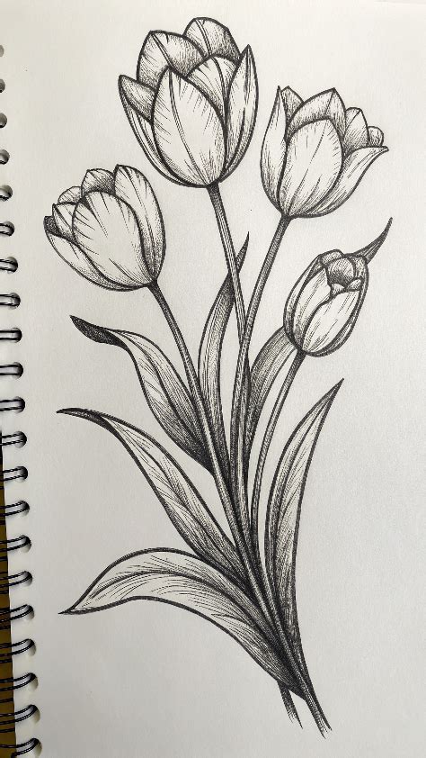 Introduction to July Flower Sketches