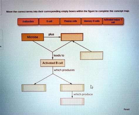Concept Map
