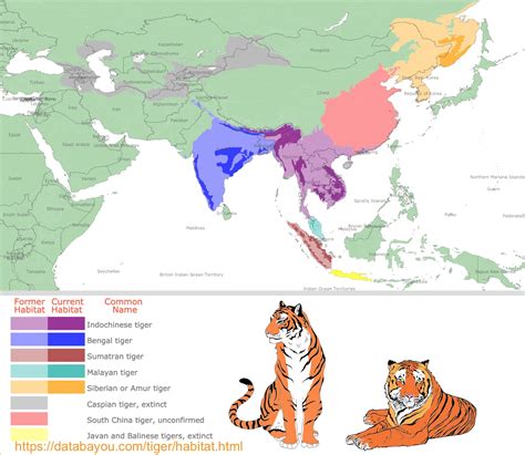 A map showing where tigers live