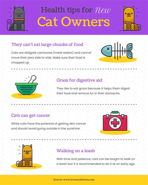 Invaluable Advice for Cat Owners