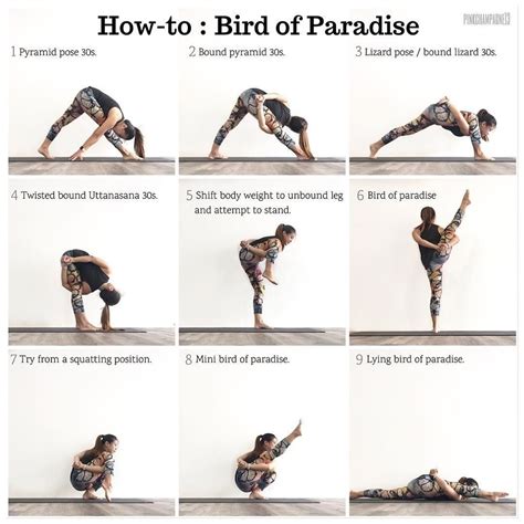 Inverted Bird Of Paradise Yoga
