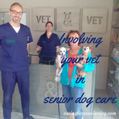Involving Your Vet