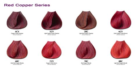 Ion Hair Color Chart Red