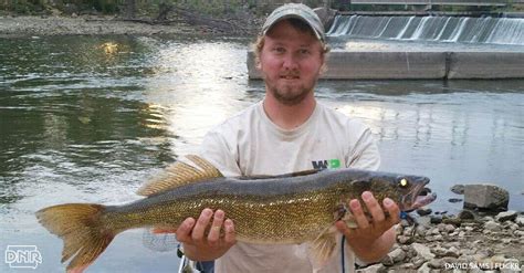 Iowa DNR Fishing Report