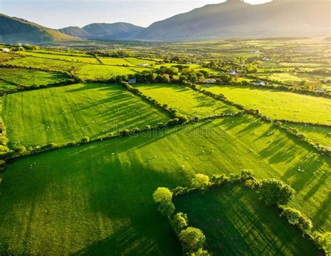 Ireland Green Fields