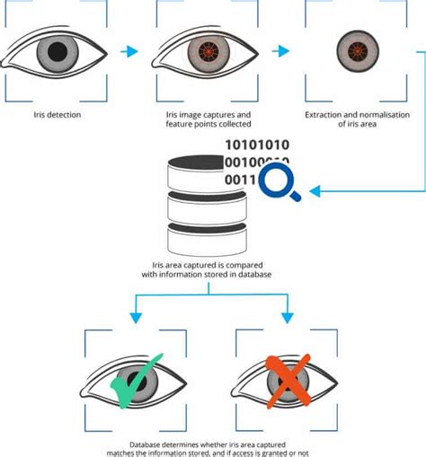 Iris-scanning ID verification system