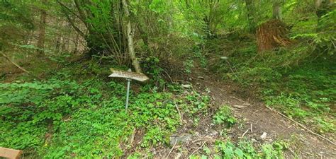 Irish Guide Switzerland Laughing