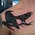 Iron Raven Tattoo