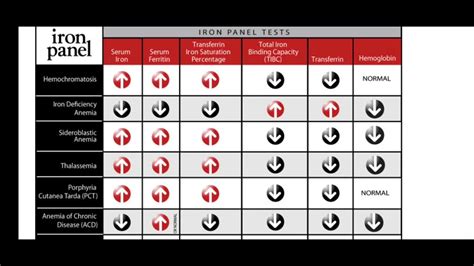 Iron Studies Panel Test and interpretation