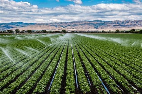 Irrigation