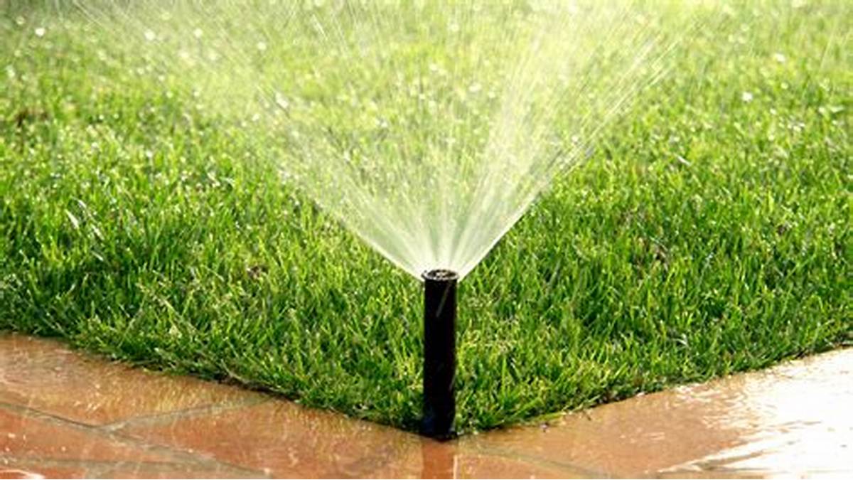 Irrigation System Lawn