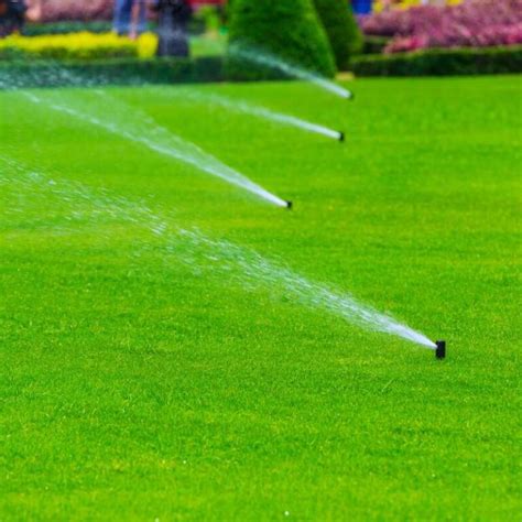 Irrigation System Repair in Denver