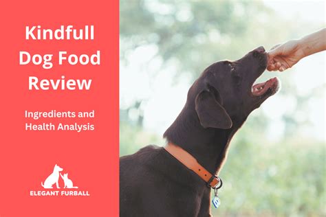 Is Kindfull Dog Food Healthy