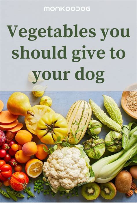 Is Vegetable Soup Good for Dogs?