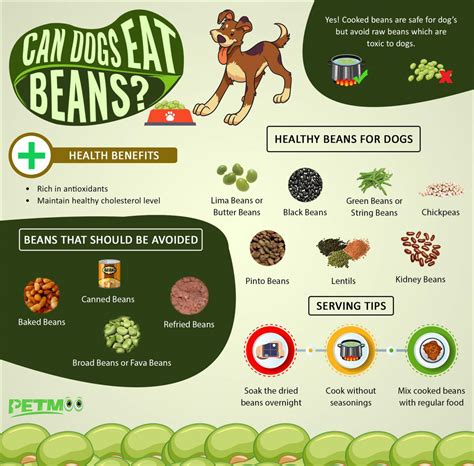 Is Beans Good For Dogs