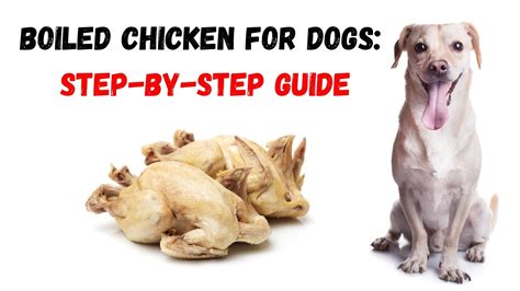 Is Boiled Chicken Good For Dogs