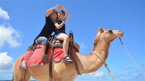 Is Camel Ride for You