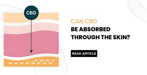 Unlock the Surprising Benefits: Experience The Healing Power of CBD Absorbed Through Your Skin Now!