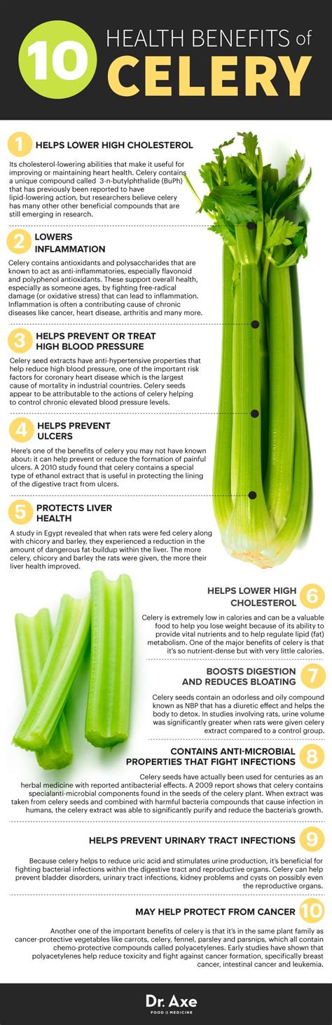 10 Reasons Why You Should Add Celery to Your Skincare Routine: The Skin-Saving Benefits of Celery