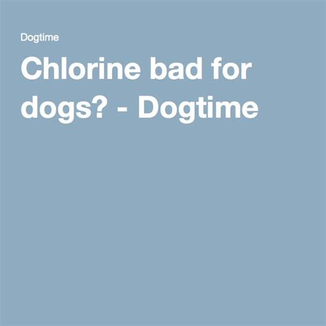 Unmasking the Truth: Is Chlorine a Canine Skin Saboteur? - Exploring the Potential Risks and Ways to Prevent chlorine-related Skin Irritation in Dogs