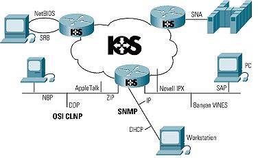 How to label Cisco IOS correctly