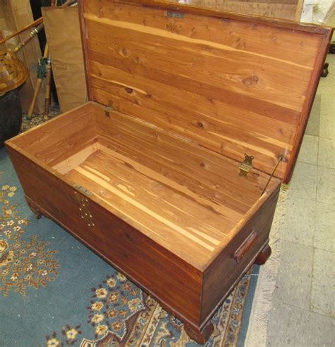 Discover the Enchanting World of Forest Park Line: Your Ultimate Guide to This Captivating Company