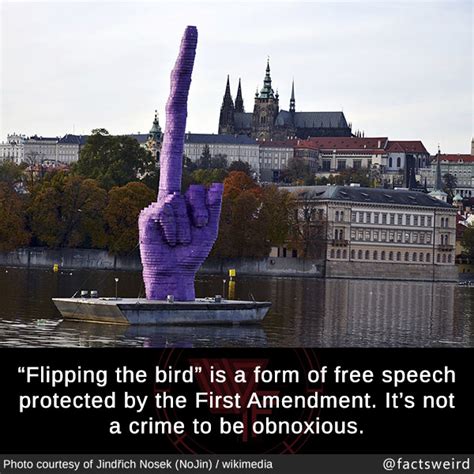 Is Flipping Off Protected Speech