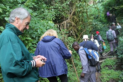 Is Gorilla Trekking Right For Me