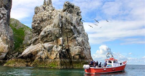 Is Howth Boat Tour Worth It