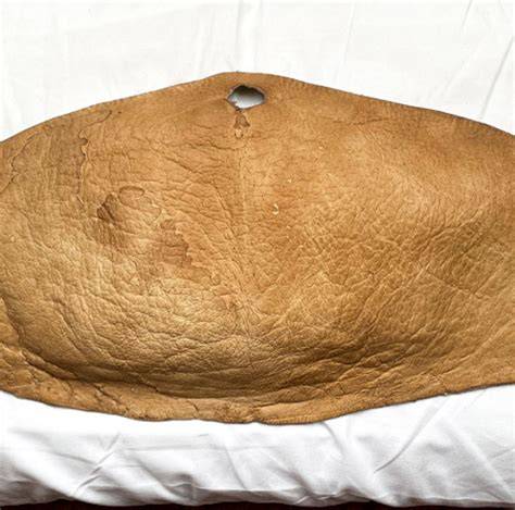 Unmasking the Truth: Unraveling the Legalities Surrounding Human Skin Leather in Fashion