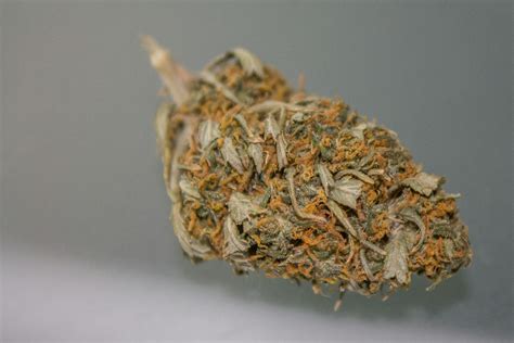 Is Hydro Weed Bad For You