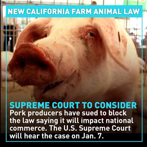 Is It Illegal To Farm Animals In California