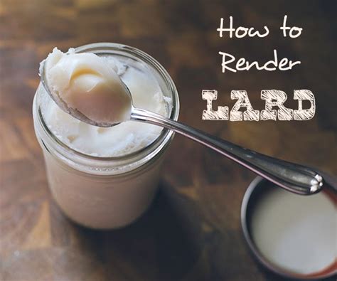 Unveiling the Skin Benefits of Lard: Is This Unconventional Skincare Solution Worth It?