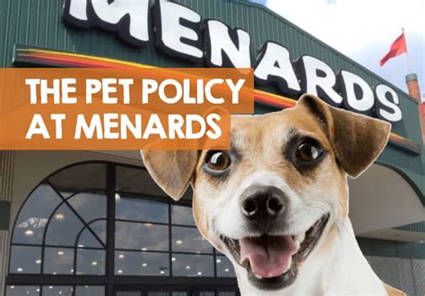 Unleashing Fun: Discovering Menards' 'Paw-some' Policy on Furry Friends - A Guide on Menards' Dog-Friendly Shopping Experience.