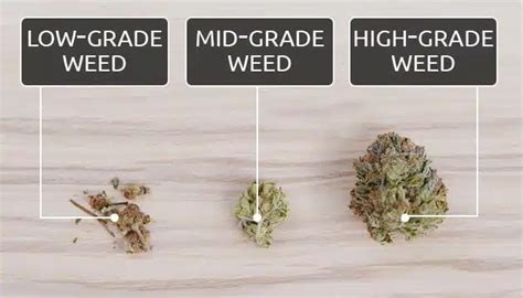 Is Mid Grade Weed Bad For You
