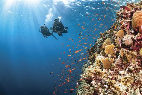 Is Scuba Diving Worth It