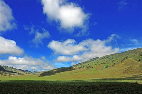 Is Shared Tour Right For You