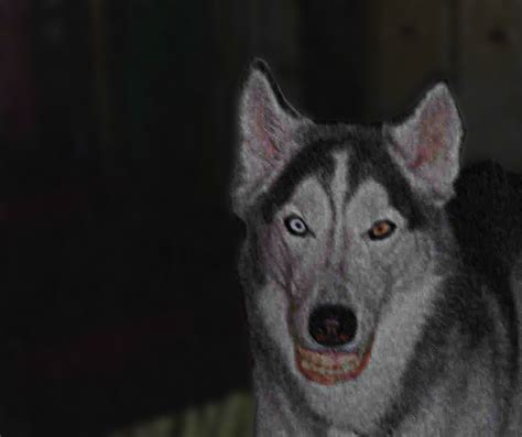 Is Smile Dog Real Yahoo