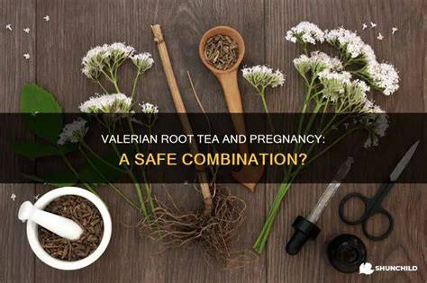 Is Valerian Root Safe During Pregnancy