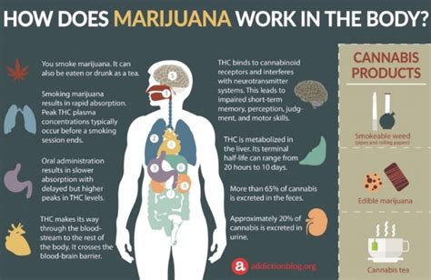 Is Weed Bad For Your Bones