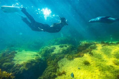 Isla Canguro snorkel
